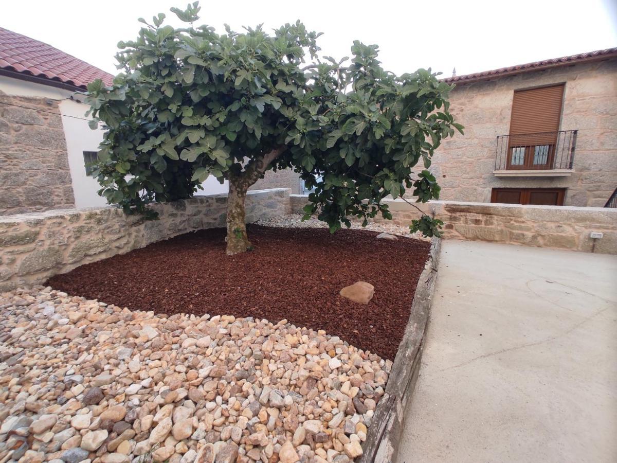 Casa Lagarto, Villa Taboada ภายนอก รูปภาพ
